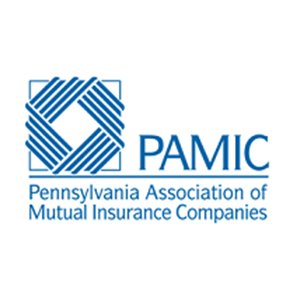 ValueMomentum is a Member of Pennysylvania Association of Mutual Insurance Companies (PAMIC)